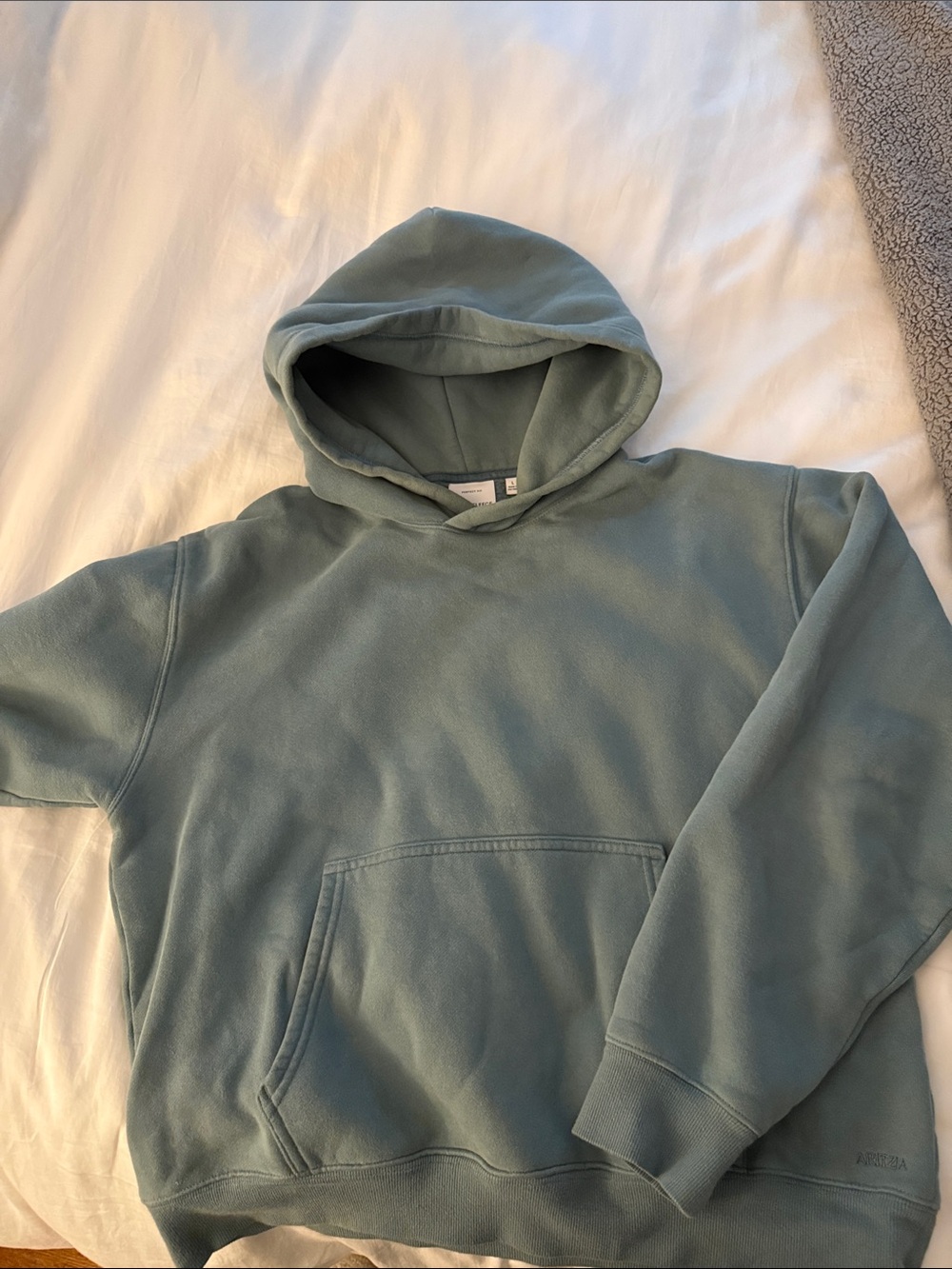 Aritzia Women's Hooded Pullover Sweatshirt in Dusty Seafoam